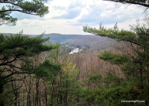 North Country Trail through Cook Forest State Park in Pennsylvania