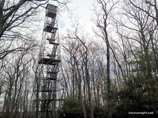 The swinging bridge in Cook Forest State Park in Clarion County PA