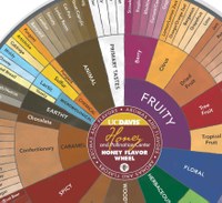 Wine-Aroma-Flavor-Chart-Wheel_cropped