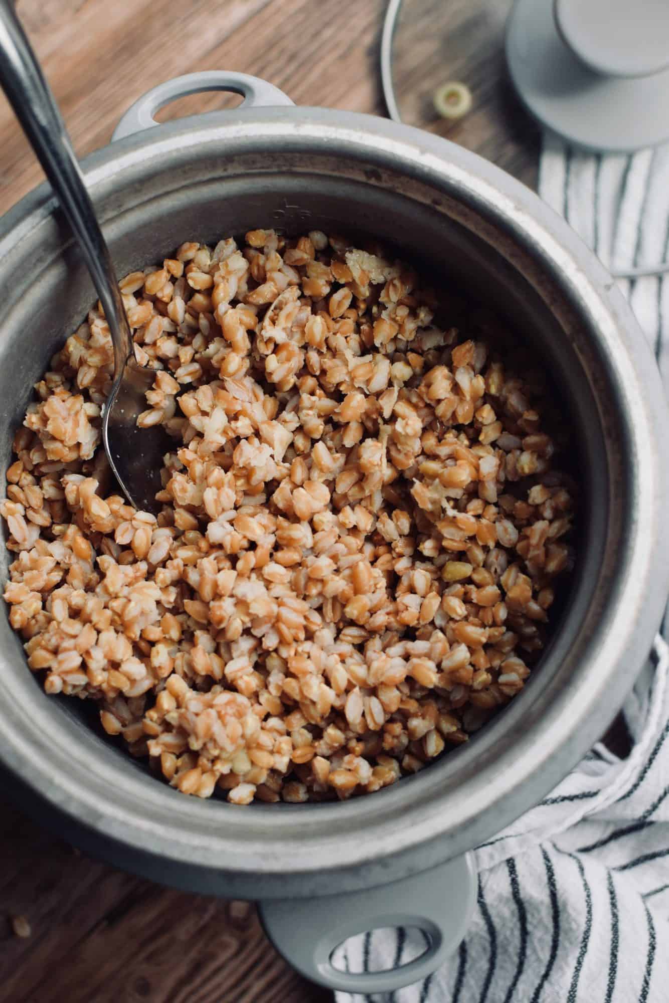 A rice cooker full of farro. A spoon is dishing some out.