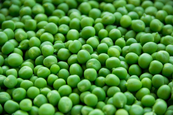 How much protein in green beans?