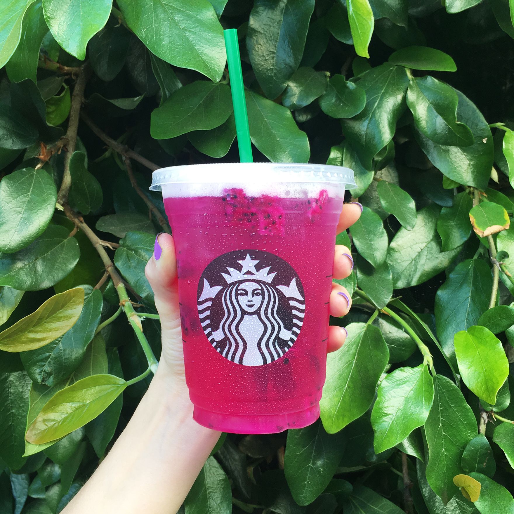 What is Starbucks Mango Dragonfruit?