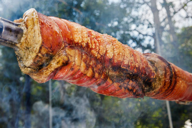 Rotisserie Pork Loin - Delicious for Family Meeting