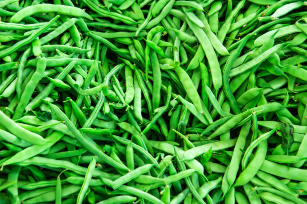 How Much Protein is in Green Beans?