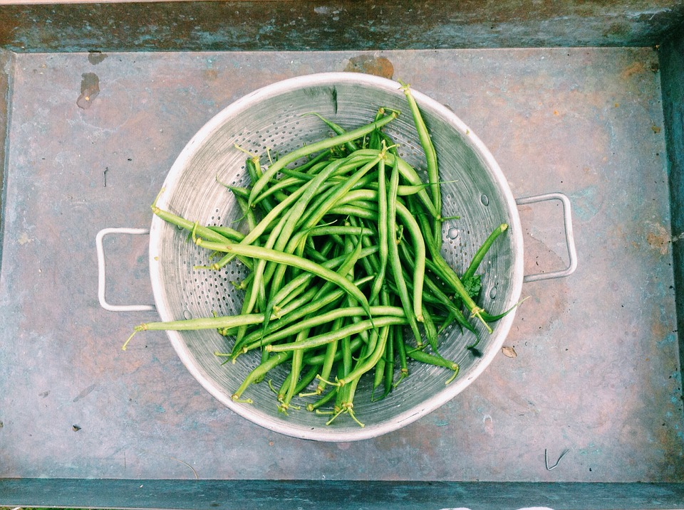 What is fresh green beans?