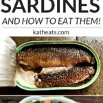 Sardines: what you need to know about fish in a tin