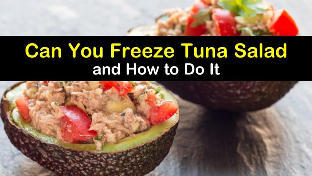 Can You Freeze Tuna Salad titleimg1