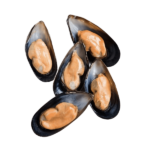 Green Mussels vs. Black Mussels: What’s the Difference?