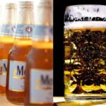 The Complete Guide To Modelo Alcohol Percentage & Most Popular One!