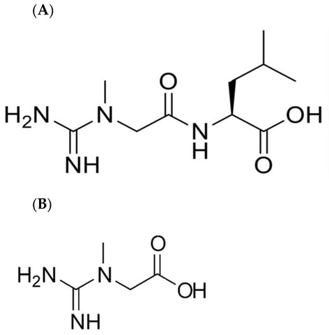 Chemical strucutre of super creatine (A) and creatine (B).[7]