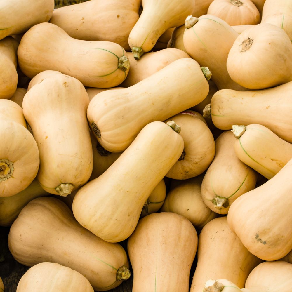 butternut squash piled up